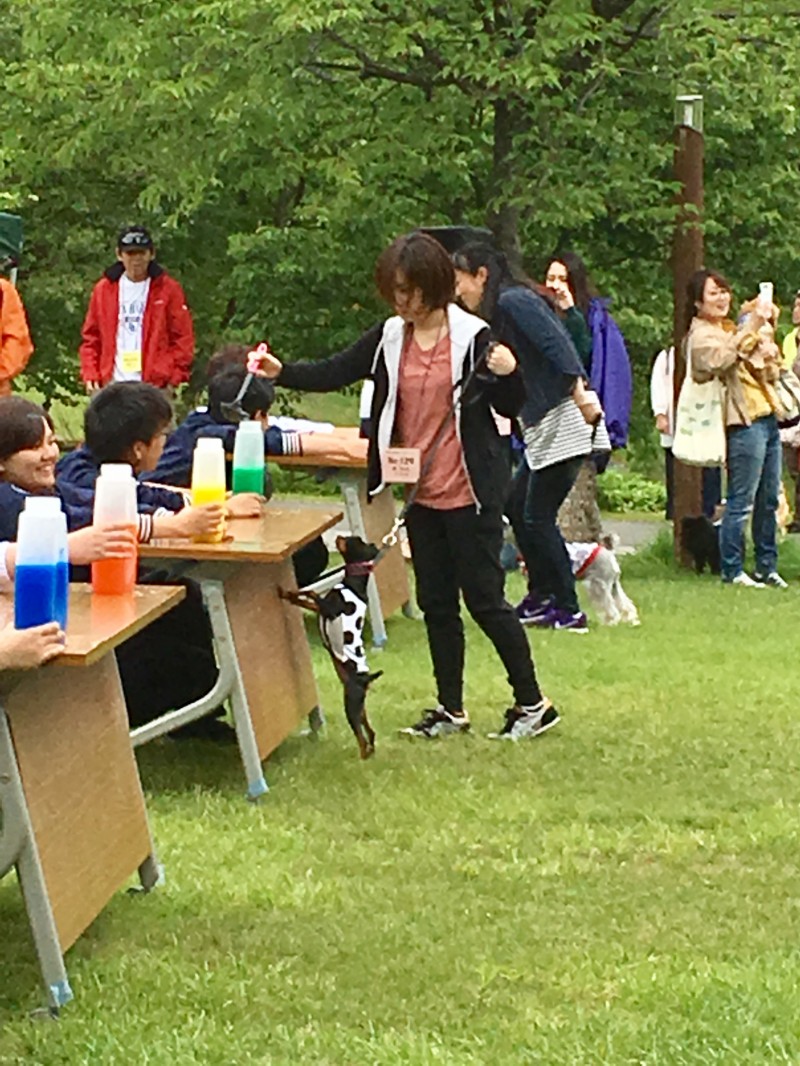 第3回wanwanフェスティバル その2