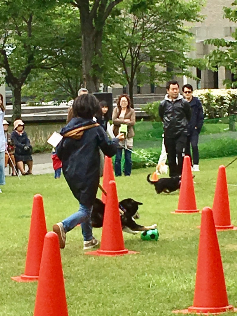 第3回wanwanフェスティバル その3