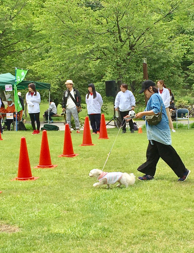 第3回wanwanフェスティバル その5