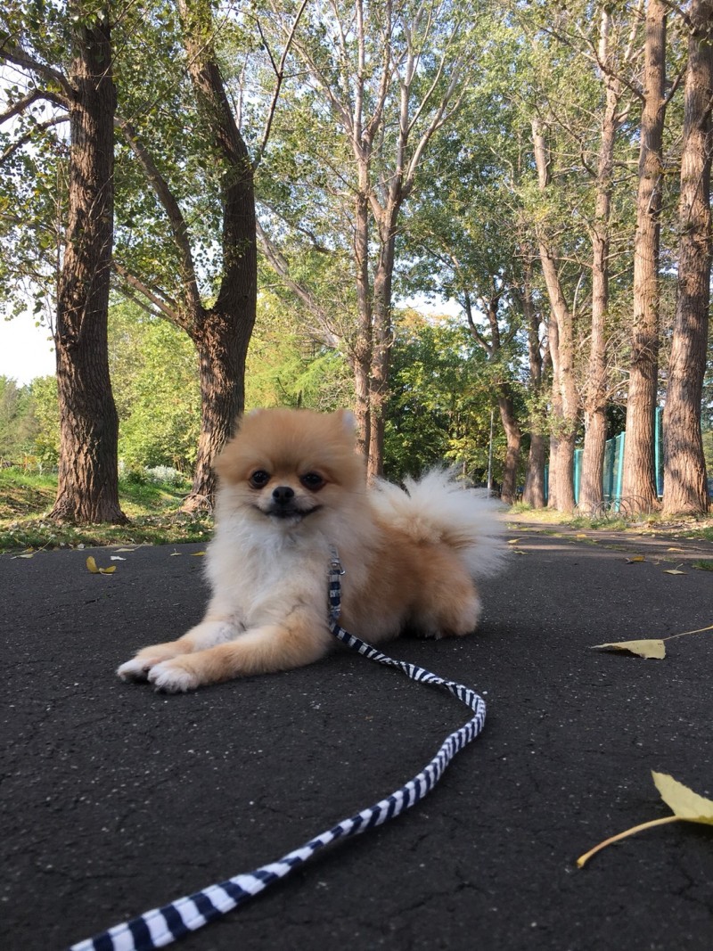 明けましておめでとうございます